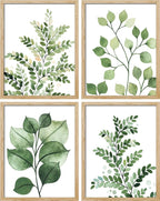 SIGNWIN Poster Bathroom Decor 8"x10", Wall Art Room Decor Multicolor for Living Room, Bedroom, Office Green Pastel Forest Fern Leaf Collage Nature Garden Illustrations Plant Art Botanical