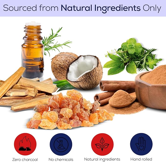 Satya Nag Champa Incense Sticks, Satya sai Baba Insenses 15gmx12 Pack with Raajsee Incense Holder Bundle, Satya Nag Champa Natural Incense 180 gm