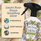 Home-Pourri Air + Fabric Multi-Purpose Odor Freshener Spray, Tropical Air, 11 Fl Oz - Pineapple, Jasmine and Sandalwood