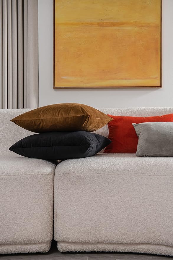 Throw Pillow Cases 24x24 Golden Brown: 2 Pack Cozy Soft Velvet Square Decorative Pillow Covers for Farmhouse Home Decor