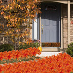 20 Bundles Artificial Fall Flowers No Fade Faux Autumn Plants Fake Flowers No Fade Faux Plastic Plants Thanksgiving Harvest Decoration (Fall Red)