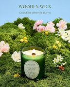 M&SENSE Cedarwood Orange Christmas Candle, Cracking Wooden Wick Soy Wax, 18oz 100 Hours Long Lasting Clean Burn, Large Fall Candles for Home Scented, Winter Holiday Aromatherapy Gifts for Women