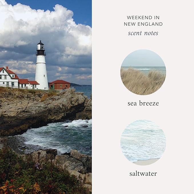 Literie NYC Inspired Scented Candle: Weekend in New England - Sea Breeze & Saltwater Scent, 9oz, 50 Hour Burn, Vegan Soy & Coconut Blend Candle for Home Decor, Gift for Women & Men