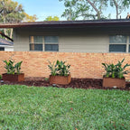 Corten Steel Planter Box Metal Outdoor Large Rectangular Rustic Durable Antique Detached for Commercial Residential Patio Deck and Backyard 24" x 12" x 12"