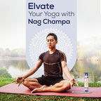 Raajsee Incense Stick Holder Bundle with Satya Nag Champa Incense Sticks 250 gmx 2 Pack (500 GMS), Insense Sticks Nag Champa Agarbatti