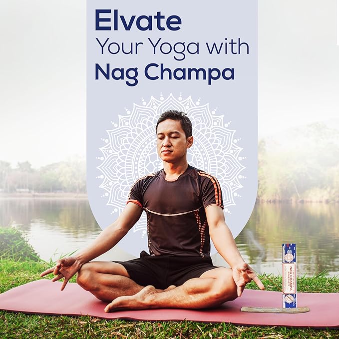 Raajsee Incense Stick Holder Bundle with Satya Nag Champa Incense Sticks 250 gmx 4 Pack (1000 GMS), Insense Sticks Nag Champa Agarbatti