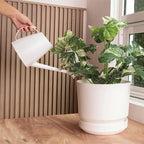 Elly Décor 8 inch Plastic Cylinder Planter Pot with Self-Watering Saucer and Drainage Hole,Lightweight & Extremely Durable, 8"x 8", White