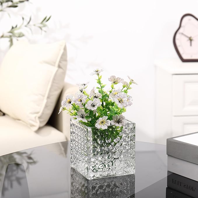 Square Vases Set of 6, 4" x 4" x 4" Square Glass Vases for Flowers, Clear Flower Vase for Centerpieces, Small Bubble Vase for Wedding, Party, Home, Office, Parties, Events
