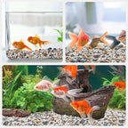 5 lbs Small Rocks for Plants, 1/5 Inch Pebbles for Indoor Plants, Natural Decorative Pea Gravel for Aquarium, Fish Tank, Terrarium, Succulents, Bamboo Plants, Vases, Cactus, Crafts