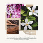 Airkeep Reed Diffuser Set - 3.38 fl oz(100ml) Bamboo Scent Diffuser Home Fragrance Diffuser Set Includes 8 Reed Diffuser Sticks,Home Decor & Office Decor, Fragrance and Gifts