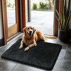 2x3 Fluffy Area Rugs for Bedroom Living Room,Small Soft Shag Fuzzy Rug Non-Shedding Indoor Plush Carpet for Kids Bedroom Nursery Dorm Home Decor,Black