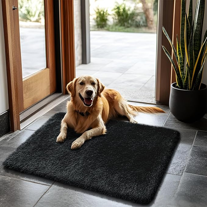 2x3 Fluffy Area Rugs for Bedroom Living Room,Small Soft Shag Fuzzy Rug Non-Shedding Indoor Plush Carpet for Kids Bedroom Nursery Dorm Home Decor,Black