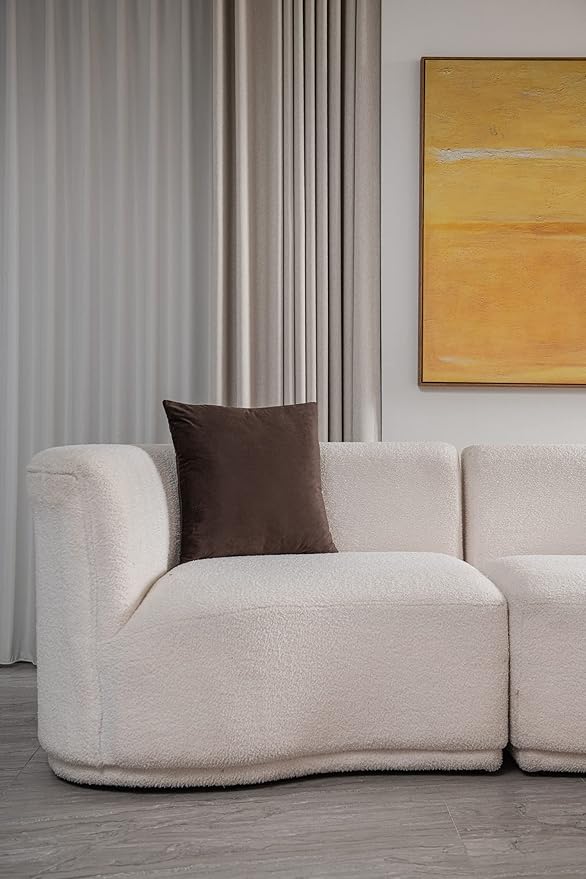 Decorative Pillow Cases 24x24 Chocolate Brown: 2 Pack Cozy Soft Velvet Square Throw Pillow Covers for Farmhouse Home Decor