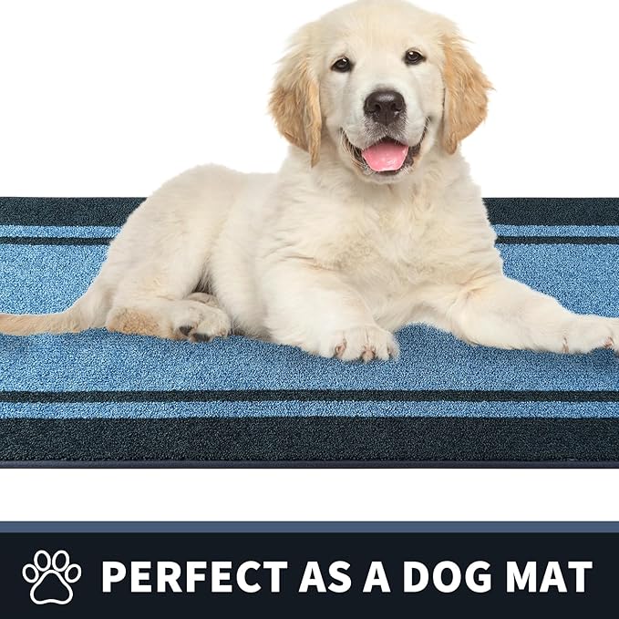PURRUGS Dirt Trapping Door Mat 20" x 32", Non-Slip/Skid Machine Washable Entryway Rug, Shoes Scraper, Area Rug, Super Absorbent Welcome Mat for Muddy Wet Shoes and Paws, Light Blue & Navy