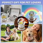 Angel Dog Music Snow Globe, Fall Indoor Decor, Golden Retriever Lost Pet Memorial Gift, Dog Passing Away Gifts, Thanksgiving Gift Ideas, Dog Lover idea.