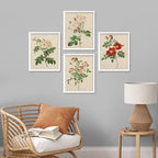 SIGNWIN Framed Vintage Colorful Wildflower Wall Art, Set of 4 Variety Floral Wall Decor Prints, Nature Wilderness Wall Décor for Living Room, Bedroom - 8"x10" White