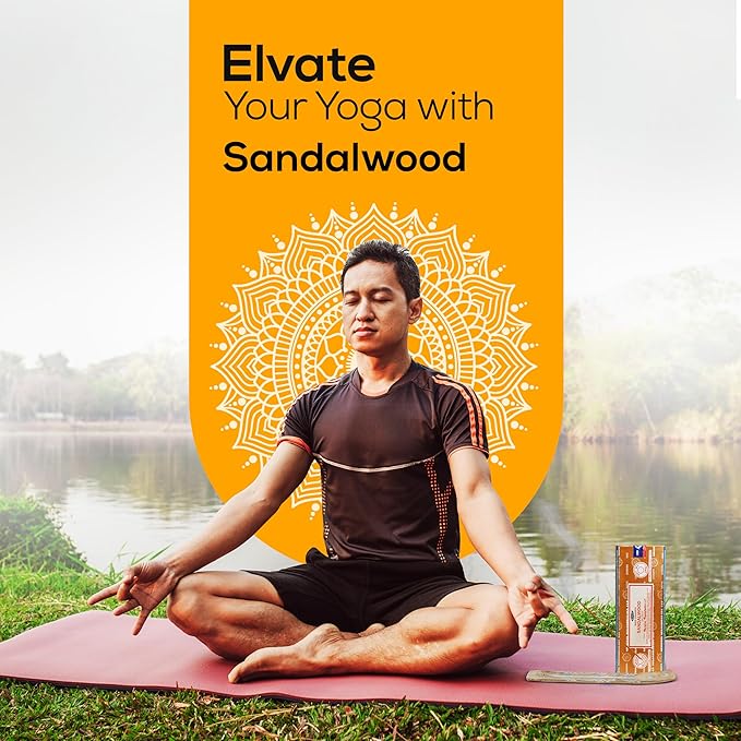 Satya Sandalwood Incense Sticks 250 gm Pack, Insenses with Raajsee Insence Holder Bundle, Nag Champa Natural Incense