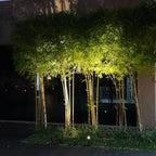 MINI 50X Twin Solar-Powered Cast Aluminium Warm White LED Spotlight 60-100 Lumen Per Light Fixture for Outdoor Garden Yard Landscape Downlight