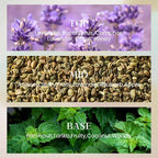 M&SENSE 10.14 oz Large Reed Diffuser Set | Lavender Eucalyptus Scent Oil Diffuser with Sticks | Hotel Collection Non-Toxic Essential Oil |for Bedroom Bathroom Living Room