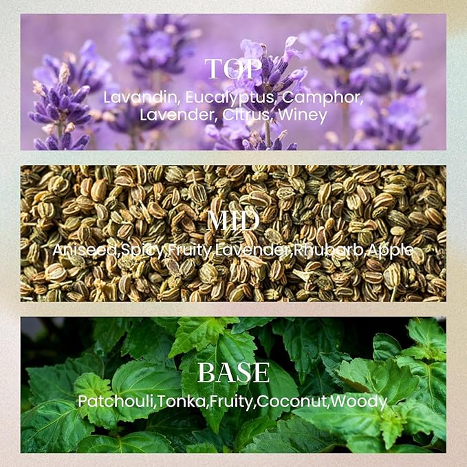 M&SENSE 10.14 oz Large Reed Diffuser Set | Lavender Eucalyptus Scent Oil Diffuser with Sticks | Hotel Collection Non-Toxic Essential Oil |for Bedroom Bathroom Living Room