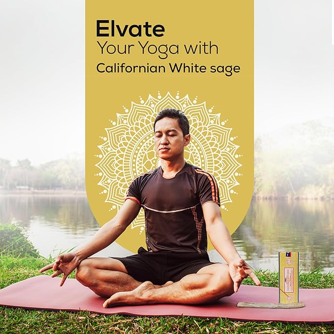 Satya Californian White Sage Incense Sticks 250 gm Pack, Sai Baba Insenses with Raajsee Insence Holder Bundle, Nag Champa Natural Incense
