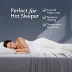 EPITEX Solid 4 Piece Queen Sheet Set - Viscose Derived from Bamboo, 1400 Thread Count, Breathable and Cooling Bed Sheets Set, Luxurious Bedding for Hot Sleeper, Deep Pocket Up to 16'', Light Grey