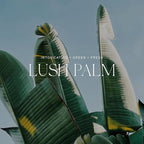 Antica Farmacista Room Spray - Lush Palm, 3.4 Fl Oz (Pack of 1)