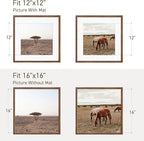 16x16 Picture Frame Natural Solid Walnut Photo Frames with 12x12 Removable Mat Wall Hanging Large Handcrafted Frame with HD Plexiglass Wall and Tabletop Display Large Poster Frame