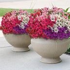 20 Bundles Artificial Flowers for Outdoors,Fake Silk Flowers with Plastic Plants for Outside,Faux mums Realistic Flowers for Window Box Yard Front Porch Balcoy Dector (Mixed Color)