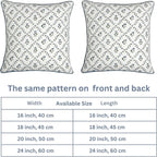 Ridhi Powder Blue Block Print Preppy Grandmillennial Pillow Cover Set of 2-20" x 20" Throw Pillow for Home White Floral Pillow Cover Grandmillennial Home Decor Thanksgiving