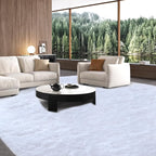 Area Rug 10x14 for Living Room: Large Shag Area Rugs for Living Room - Shaggy Area Rug 10x14 Modern Indoor Shag Fuzzy Floor Carpet