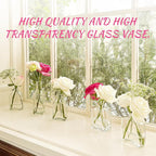 33pcs Glass Small Bud Vases Set - 9 Styles Clear Bud Vase for Centerpieces, Wedding, Home Table Flower Décor Perfume Bottle Inspired Clear Flower Vases in Bulk