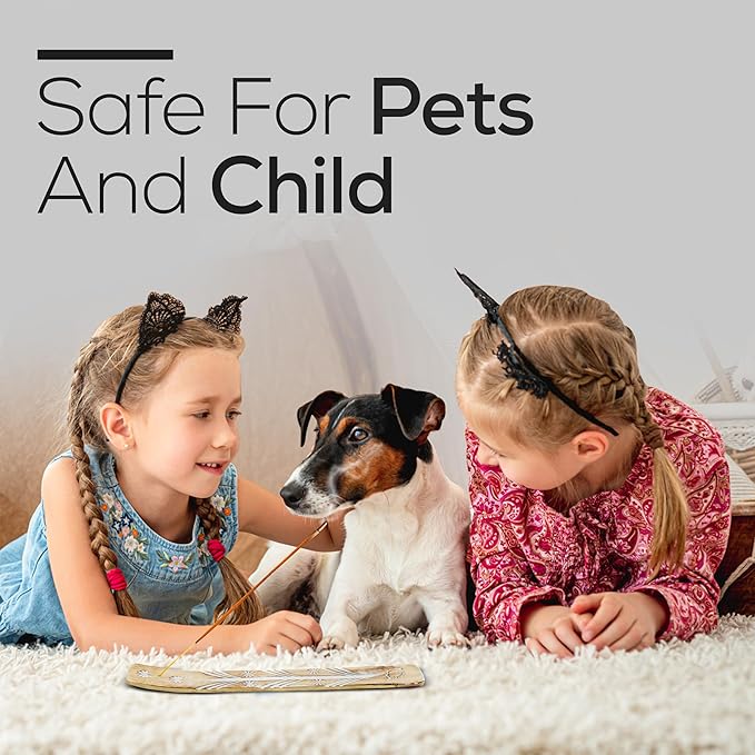 Satya Super Hit Incense Sticks 250 gmx 2 Pack (500 GMS), Insenses with Raajsee Insence Holder Bundle, Nag Champa Natural Incense