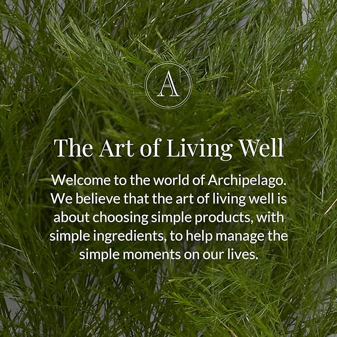 Archipelago Botanicals Black Forest Reed Diffuser, Home Fragrance Reed Diffuser, Includes Fragrance Oil, Decorative Wooden Cap & 10 Diffuser Reeds, Perfect for Home, Office or Gift, 7.85 fl oz