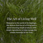 Archipelago Botanicals Black Forest Reed Diffuser, Home Fragrance Reed Diffuser, Includes Fragrance Oil, Decorative Wooden Cap & 10 Diffuser Reeds, Perfect for Home, Office or Gift, 7.85 fl oz