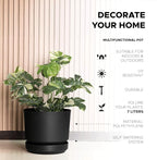 Elly Décor 8 inch Plastic Cylinder Planter Pot with Self-Watering Saucer and Drainage Hole,Lightweight & Extremely Durable, 8"x 8", Black