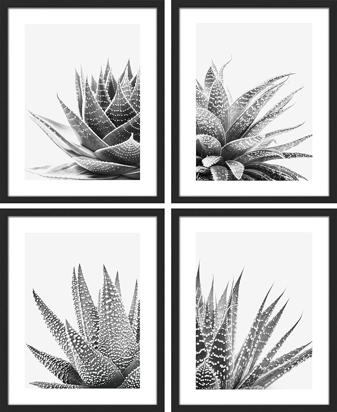 SIGNWIN Framed Black White Snake Plant Agave Cactus Succulent Wall Art, Set of 4 Floral Botanical Wall Decor Prints, Nature Wilderness Wall Décor for Living Room, Bedroom - 11"x14" Black