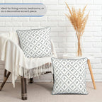 Ridhi Powder Blue Block Print Preppy Grandmillennial Pillow Cover Set of 2-20" x 20" Throw Pillow for Home White Floral Pillow Cover Grandmillennial Home Decor Thanksgiving