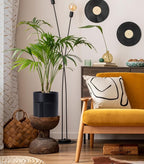 Phoenix Vine 8 Inch Self-Watering Planter Pot with Terracotta Insert, Deep Water Reservoir, and Ceramic-Alike BPA-Free Plastic Planter Pot for Plant, Modern Planter for Houseplants, Black, 53-A-T-2