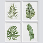 SIGNWIN Framed Banana Palm Monstera Leaf Wall Art, Set of 4 Green Pastel Wall Decor Prints, Nature Wilderness Wall D¨¦cor for Living Room, Bedroom - 12"x16" White