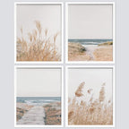 SIGNWIN Framed White Pampas Grass Beach Ocean Shore Horizon Wall Art, Set of 4 Landscape Colorful Wall Decor Prints, Nature Wilderness Wall Décor for Living Room, Bedroom - 11"x14" White