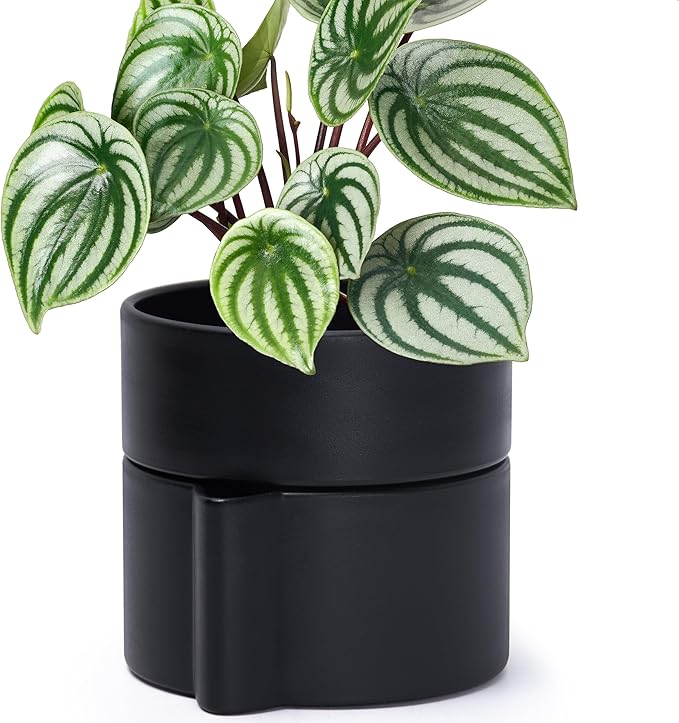 Phoenix Vine 6.5 Inch Self-Watering Planter Pot with Terracotta Insert, Deep Water Reservoir, and Ceramic-Alike BPA-Free Plastic Planter Pot for Plant, Modern Planter for Houseplants, Black, 53-A-S-2