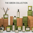 Craft & Kin Amber Moss Reed Diffuser | All Natural Essential Oil & Rattan Scent Sticks | Fall Reed Diffusers for Home, Bathroom | Long Lasting Home Fragrance in Green Glass, 3.4oz