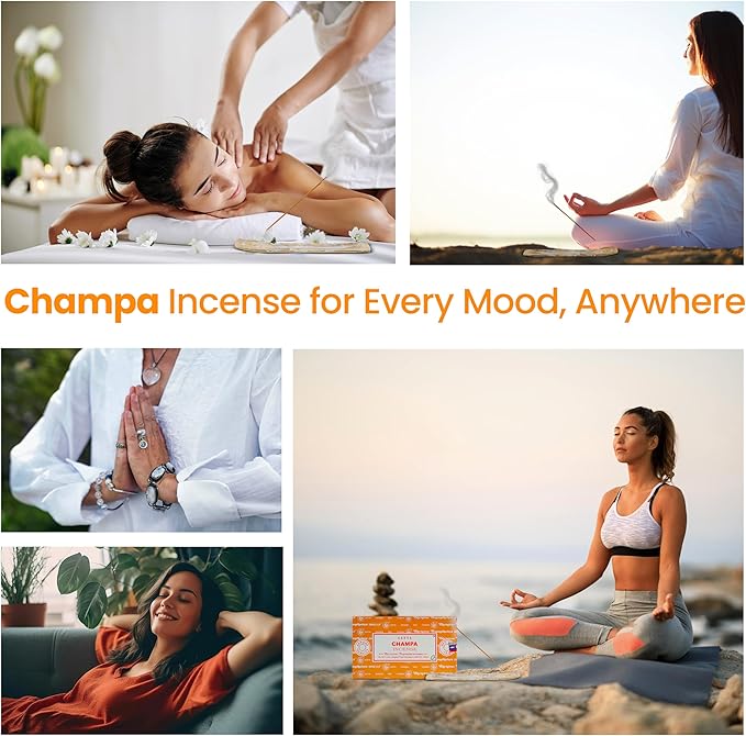 Satya Champa Incense Sticks, Satya Bng Insenses 15gmx12 Pack with Raajsee Incense Holder Bundle, Satya Nagchampa Natural Incense