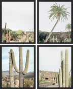 SIGNWIN Framed Tropical Palm Tree Saguaro Cactus Wall Art, Set of 4 Desert Landscape Wall Decor Prints, Nature Wilderness Wall Décor for Living Room, Bedroom - 11"x14"x 4 Black