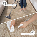 Fluffy Rug Shaggy Area Rug, Beige 3x5 Area Rugs for Bedroom, Small Bedside Rug, Soft Fluffy Shaggy Entryway Throw Rugs for Living Room Bedroom Kids Room Home Decor