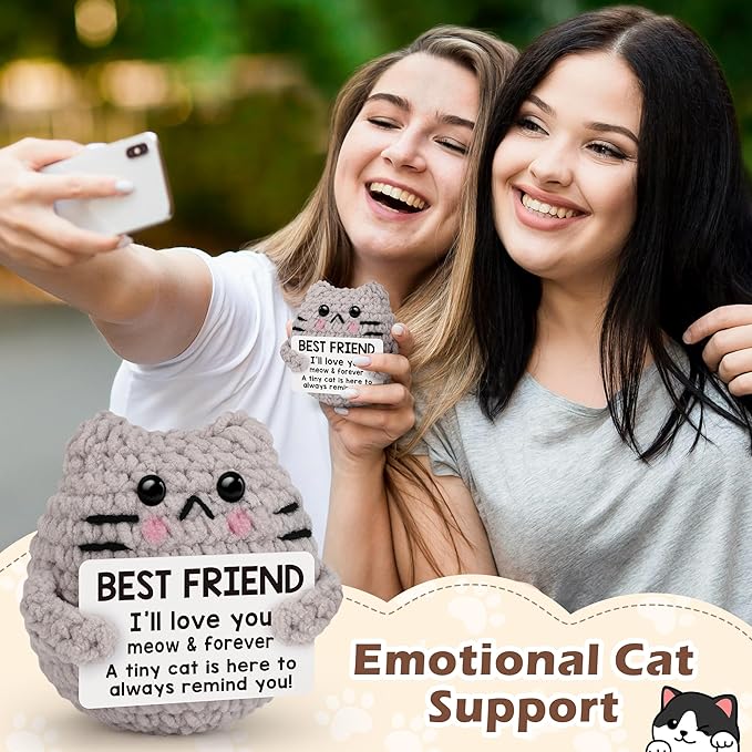 Best Friend Friendship Gifts for Women Men, Birthday Gifts for Friends Female Male Girls,Back to School Friend Desk Home Fall Decor Christmas Stocking Stuffers