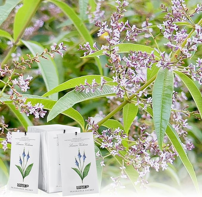 MYARO 12 Packs Lemon Verbena Scented Sachets for Drawer and Closet, Long-Lasting Sachets Bags Air Freshener, Fresh Scents Potpourri Bags Home Fragrance for Lover