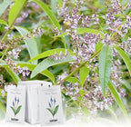 MYARO 12 Packs Lemon Verbena Scented Sachets for Drawer and Closet, Long-Lasting Sachets Bags Air Freshener, Fresh Scents Potpourri Bags Home Fragrance for Lover