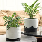 Nihow Ceramic Plant Pot: 8 Inch Planter with Drainage Hole & Saucer for Indoor & Outdoor Plants - Cylinder Round Flower Pot for Succulent/Herbs/Violets - White & Wave Black